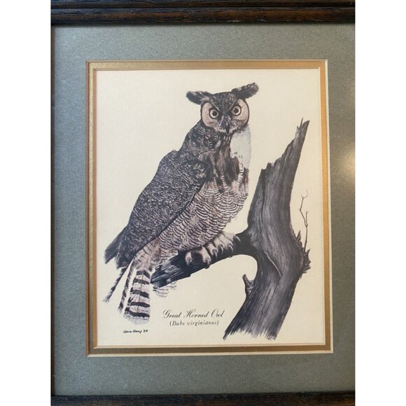 Vintage Framed Great Horned Owl Print By Gene Gray 1989 - Picture 2 of 7